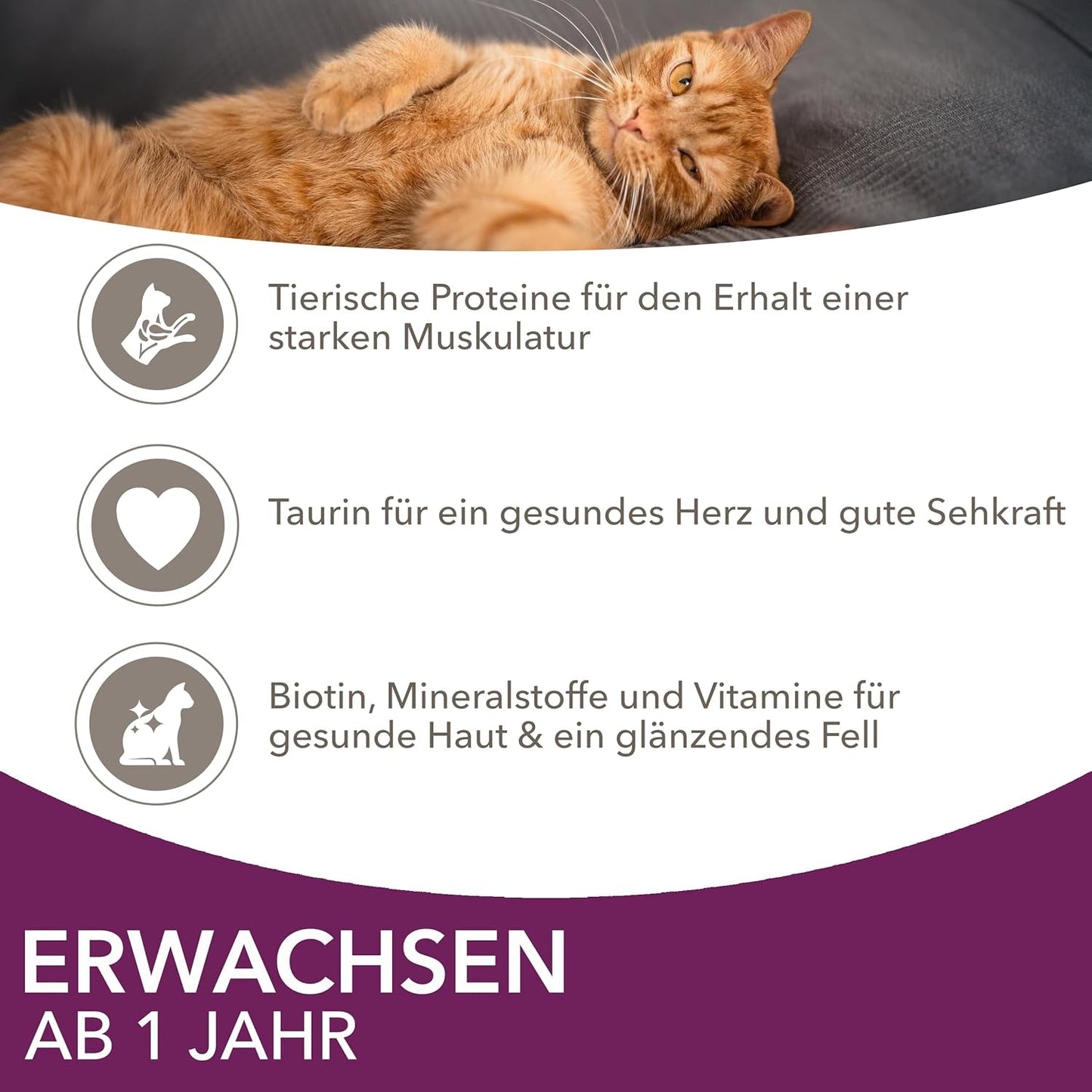 IAMS Delights Land & Sea Collection Nourriture humide pour chats - Assortiment de viande et de poisson multipack en sauce, nourriture humide pour chats de 1 an et plus, 12 x 85 g