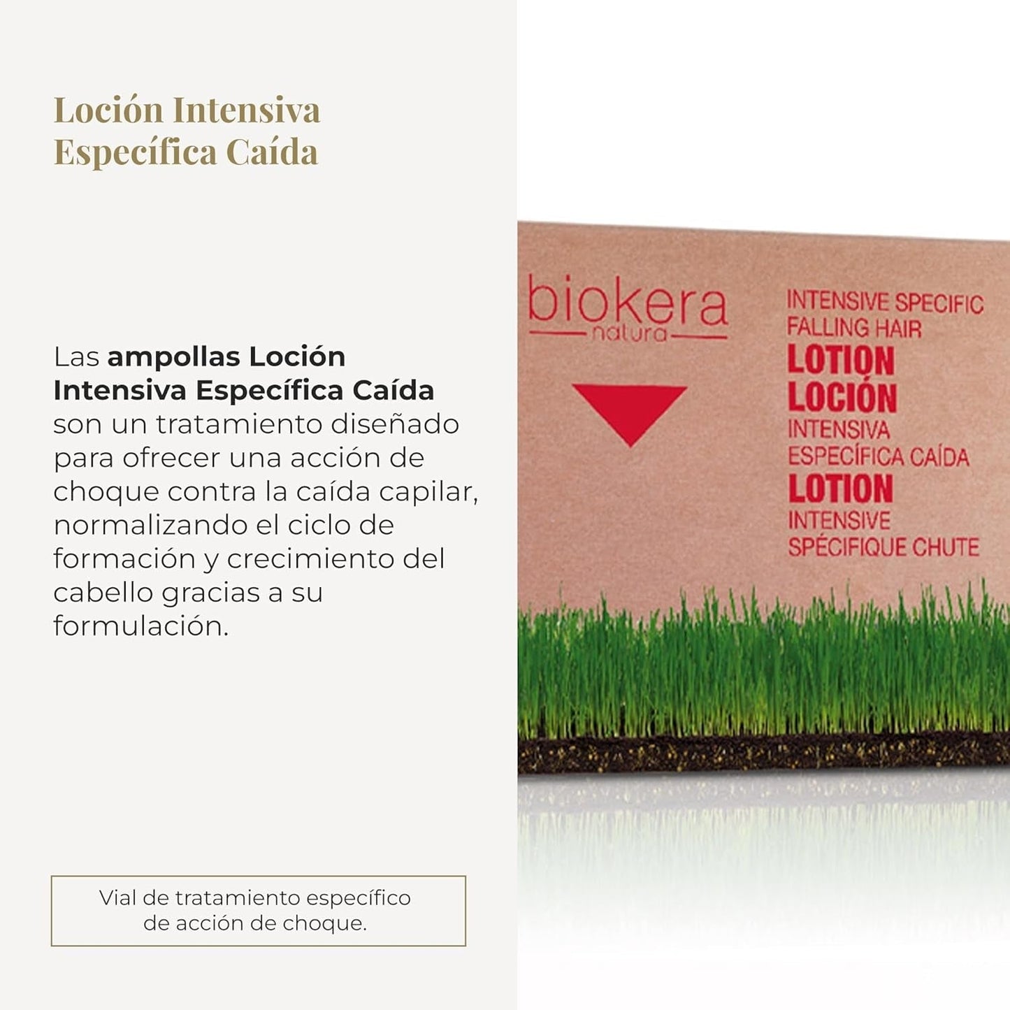 Cosmétiques Lotion Spécifique Régénération Capillaire, pack de 6 (6 X 10 ml) Soins capillaires Naty Shop
