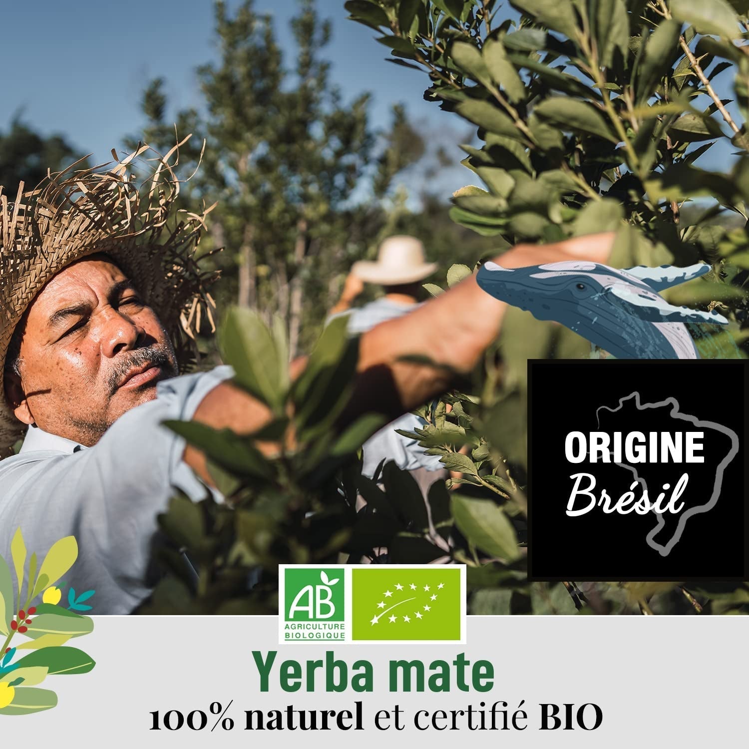 ORIGEENS BIO YERBA MATE À LA MENTHE ET CITRON 200 G - Fraîcheur I Yerba Mate Bio non torréfiée, feuilles, sans tiges ni poussière