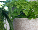 Pots de fleurs Artevasi Hestia, pots de fleurs, pots décoratifs, texture complexe, céramique faite à la main, couleur terre cuite, 17 cm