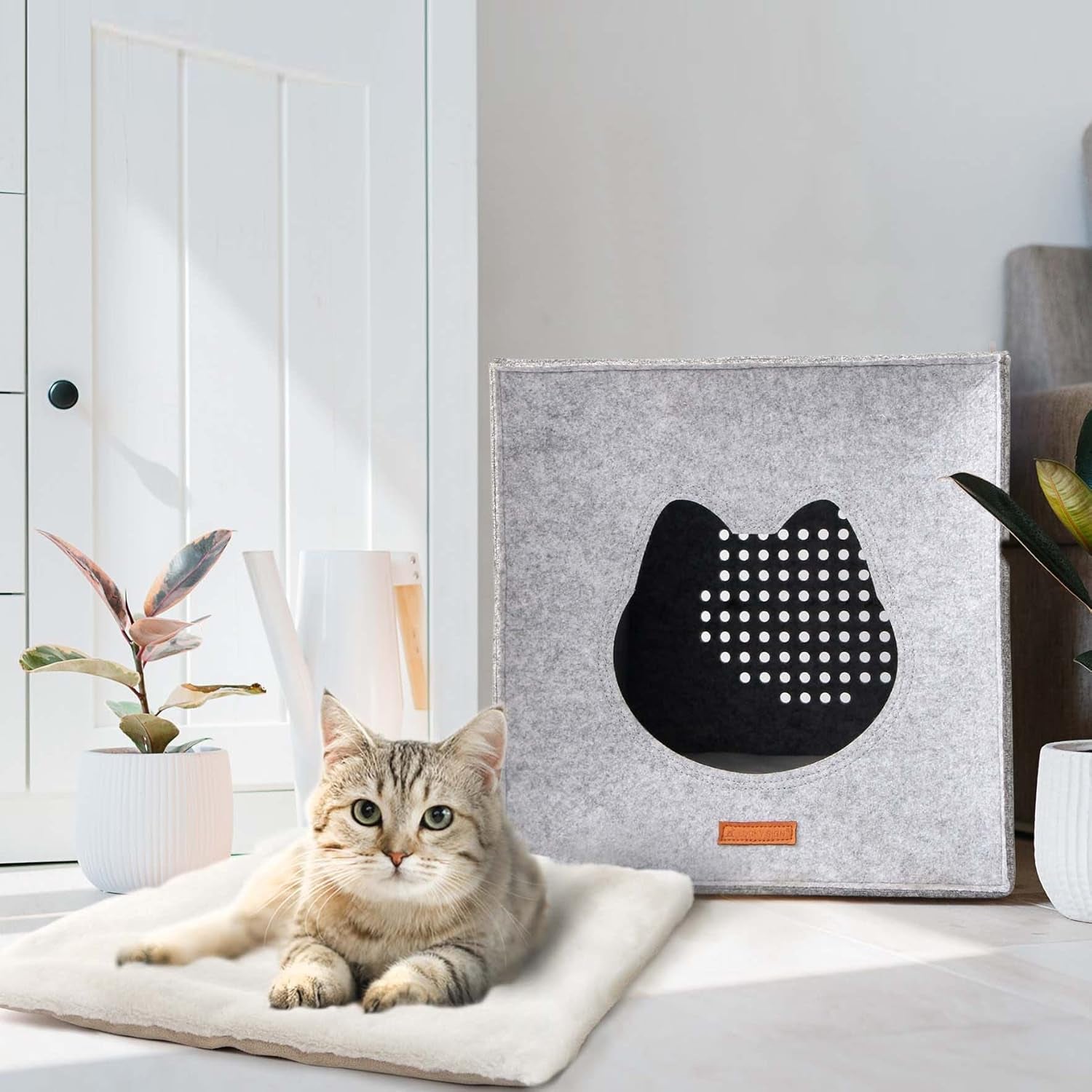 Couvertures et meubles, Animaux, Grottes et maisons, Chats, Lits pour chats, Chats - lits, matelas