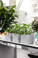 Cube à herbes de haute qualité LECHUZA CANTO Stone 14 avec système d'arrosage en bâton, gris pierre