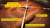 Caffè New York - XXXX - Café en grains - 1000g