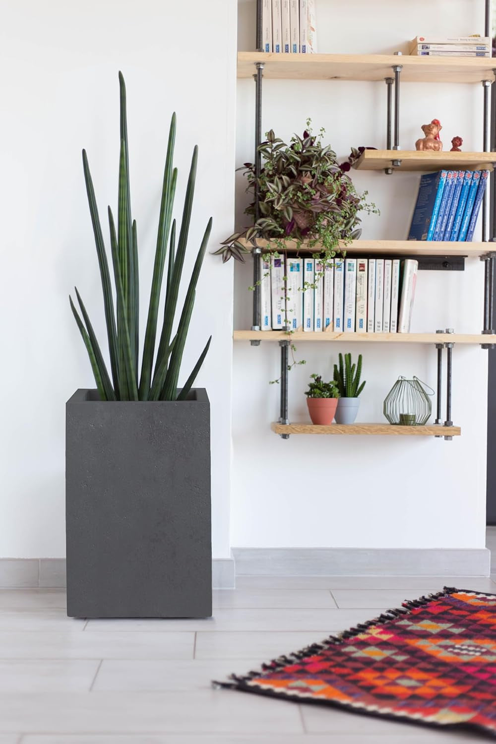 Pot de Fleur Basalt'Up, Carré, Haut, 36 L, Aspect Béton, Mur Uni, Réservoir d'Eau, 29,5 x 29,5 x 49,5 cm, Gris Anthracite