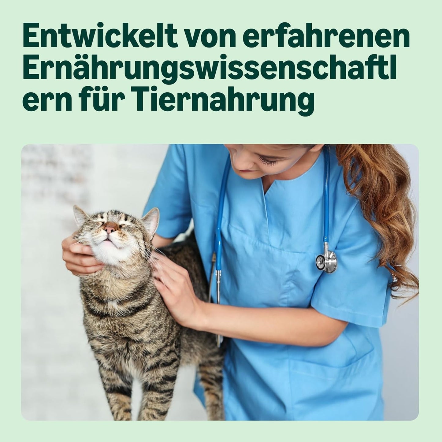 Amazon Nourriture humide sans céréales pour chats adultes Sélection mixte en gelée 4,8 kg (48 paquets de 100 g chacun)