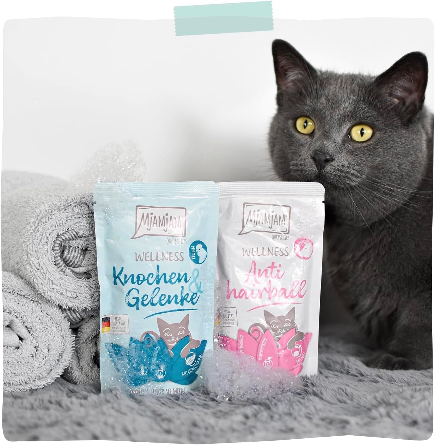 MjAMjAM - Nourriture humide premium pour chat - Bien-être - Digestif - Bœuf, Pack de 12 (12 x 125g), Sans céréales