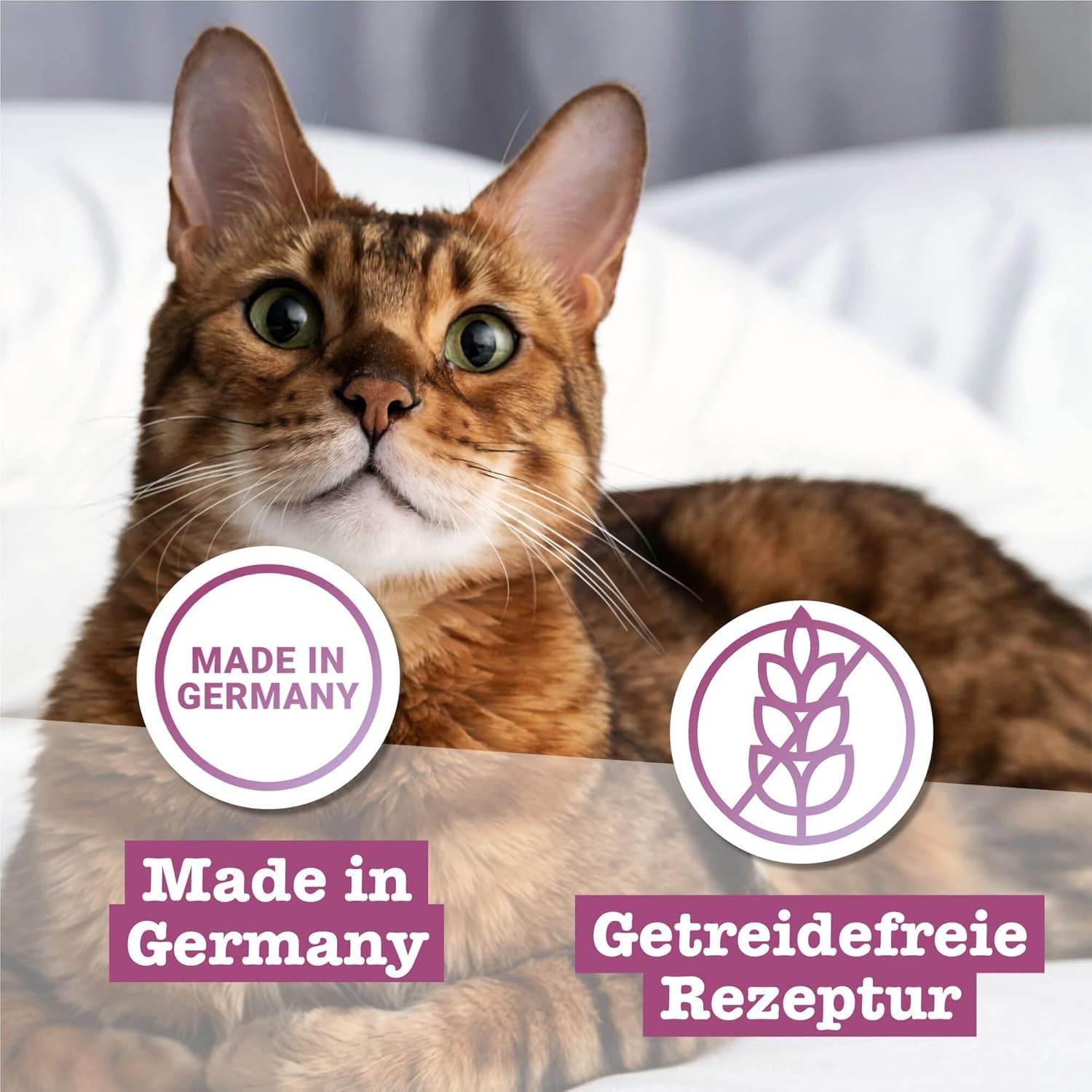 Catz Finefood Classic Collection Mixed Pack Nourriture humide pour chat - Nourriture humide gourmande pour votre chat, sans céréales et sans sucre, à haute teneur en viande, 24 sachets x 85 g
