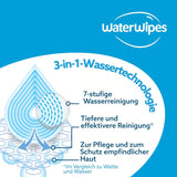 WaterWipes Sensitive+ Lingettes humides pour bébés et tout-petits, 720 unités (paquet de 12), nettoyage 3 en 1, entretien, protection, 99,9 % d'eau, nettoyage texturé, sans parfum