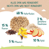 Milupa Baby Porridge - Bouillie d'avoine et de fruits 10 mois à 3 ans Nourriture pour bébé 1 x 400 g (Pack de 2)