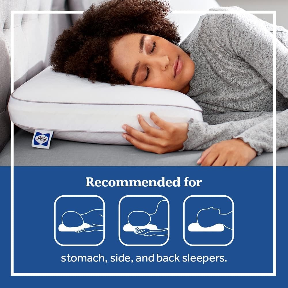 Oreiller en mousse à mémoire de forme Sealy Essentials Standard Blanc 2 pièces Naty Shop Oreillers standard