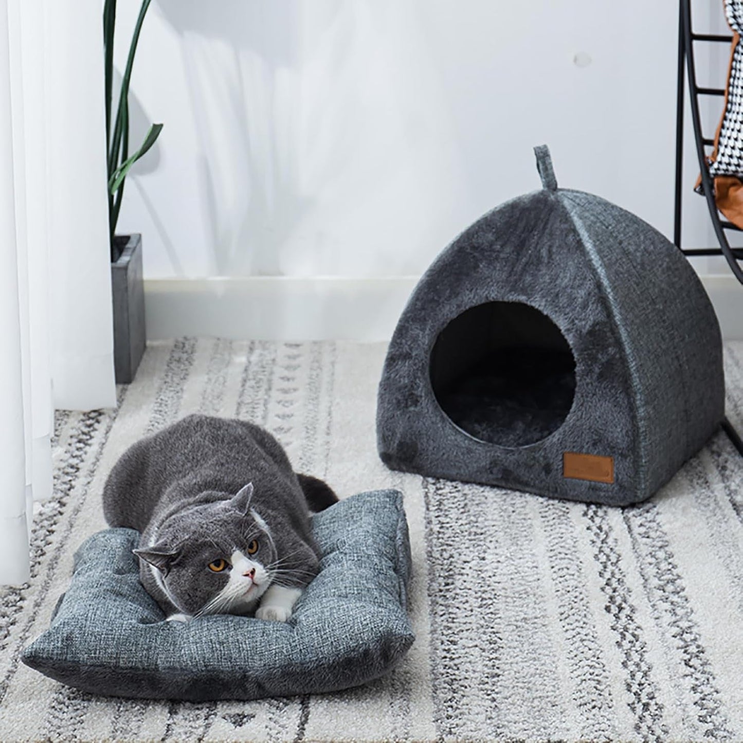 Couvertures et meubles, Animaux, Grottes et maisons, Chats, Lits pour chats, Chats - lits, matelas