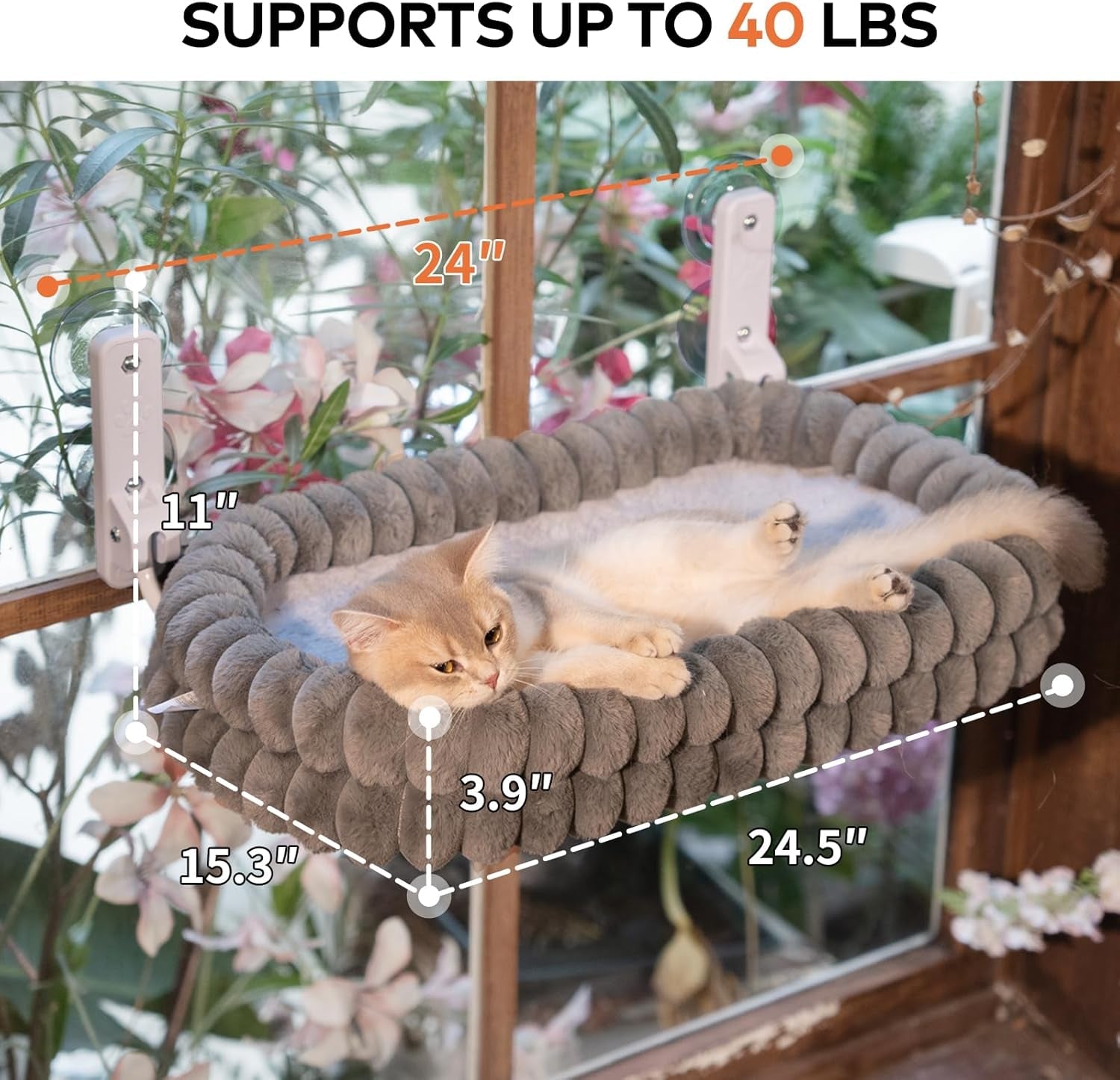 Lits, couvertures et meubles, animaux, chats, lits pour chats, Chats - lits, matelas