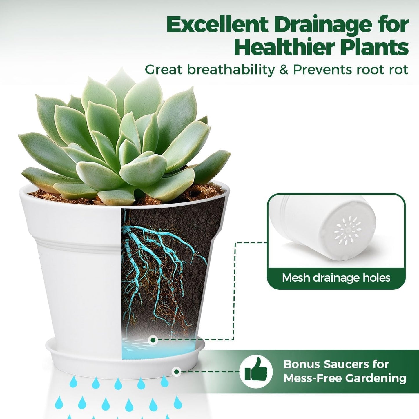 T4U Pot de Fleur en Plastique de 16 cm avec Soucoupe, Ensemble de 6 Pots à Herbes en Plastique avec Plusieurs Trous de Drainage, Pot Rond pour Plantes Succulentes d'intérieur et de Balcon, Cactus, Blanc