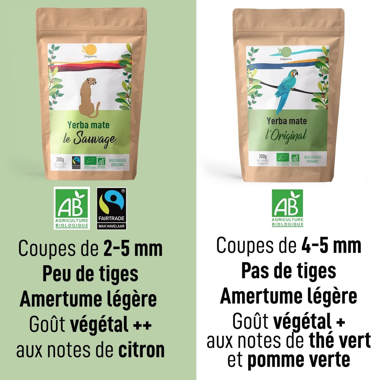 ORIGEENS BIO YERBA MATE TEA 200G - L'Original I Yerba Mate Bio non torréfié, sans feuilles, sans tiges, sans poussière et sans miettes I Boisson énergisante et détoxifiante