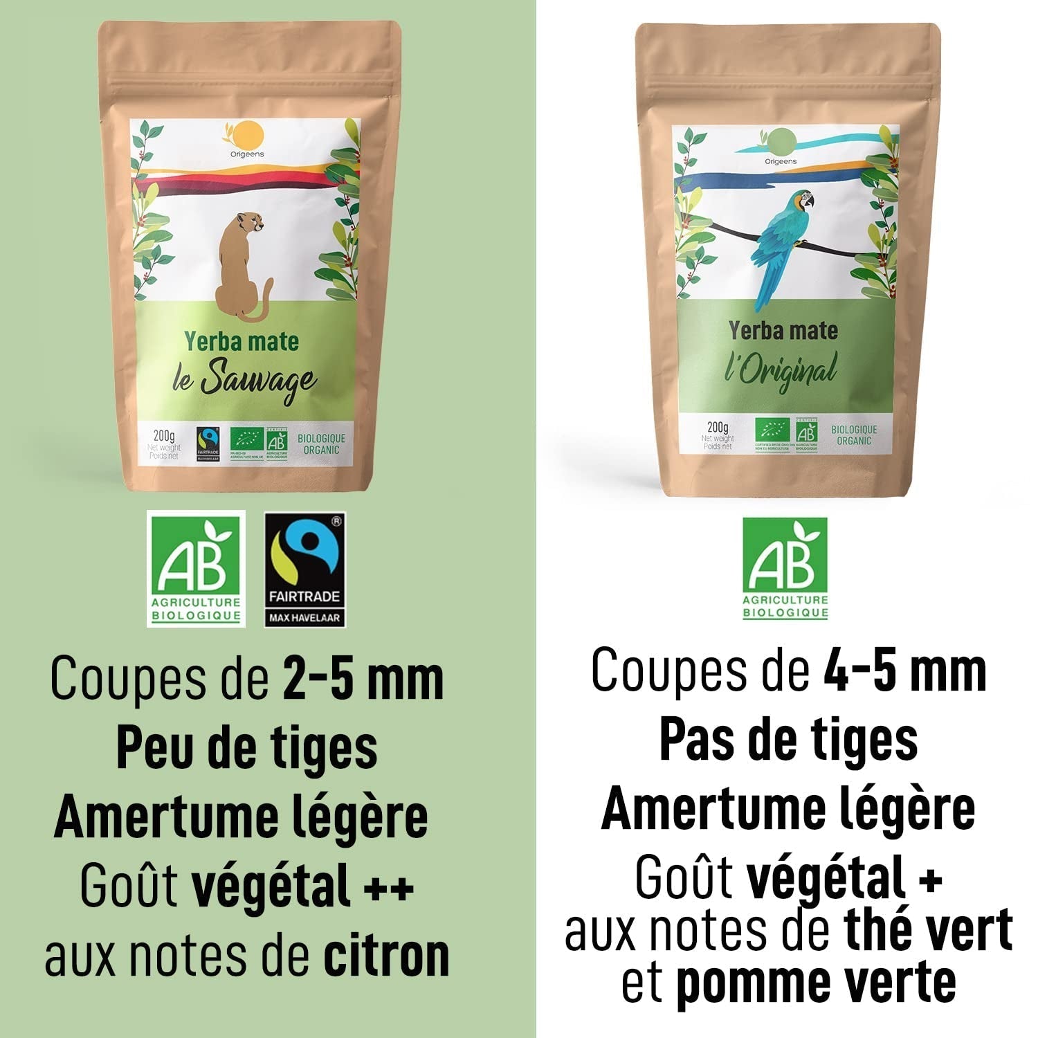 ORIGEENS BIO YERBA MATE TEA 200G - L'Original I Yerba Mate Bio non torréfié, sans feuilles, sans tiges, sans poussière et sans miettes I Boisson énergisante et détoxifiante