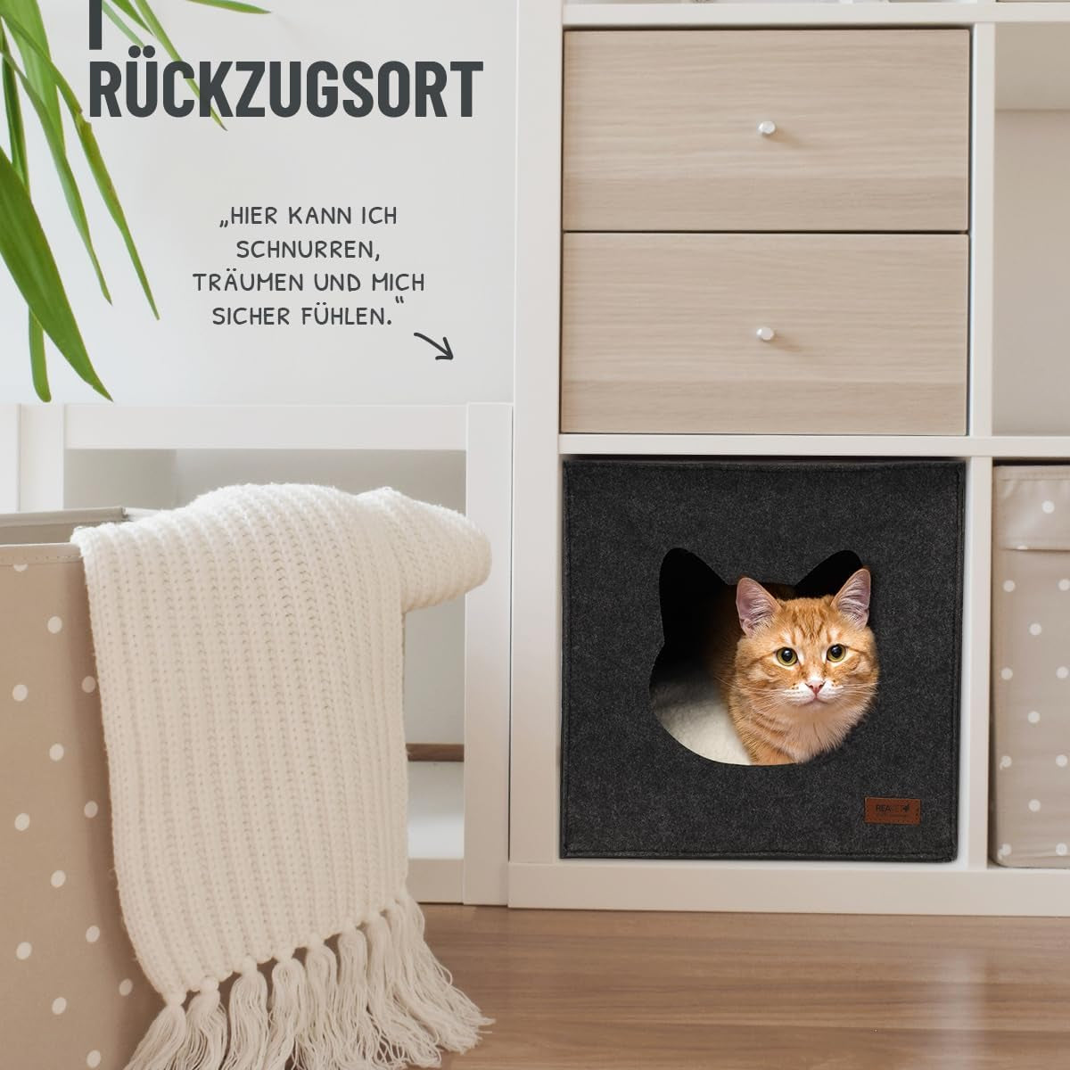 Couvertures et meubles, Animaux, Grottes et maisons, Chats, Lits pour chats, Chats - lits, matelas