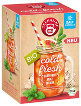 Teekanne Cold & Fresh BIO 4Er Mix - Avec les nouvelles variétés citron-menthe, pêche-maracuja, orange-romarin, pamplemousse-menthe-gingembre (4 X 45G)