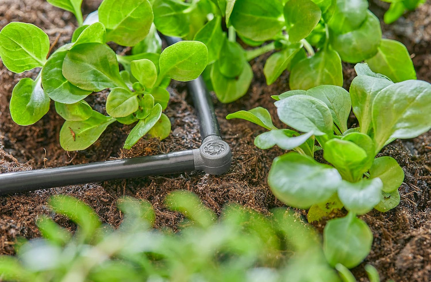 Pièce en L pour Gardena Micro-Drip 4,6 mm (3/16") : pour changer le sens de distribution et les conduites d'égouttement à 90 degrés, installation sans pli, technologie de connexion simple et flexible (13212-20)