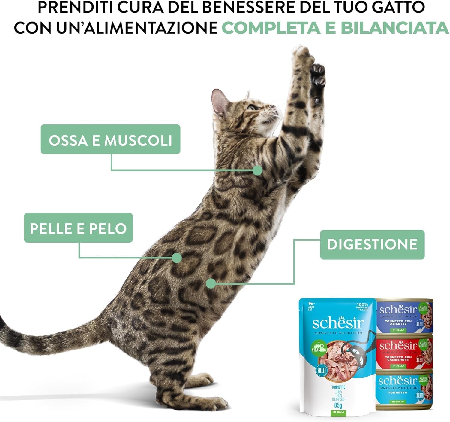 Thon rouge en gelée, nourriture humide complète pour chat, en conserve, avec vitamines ajoutées, 100 % naturel, 6 x 85 g