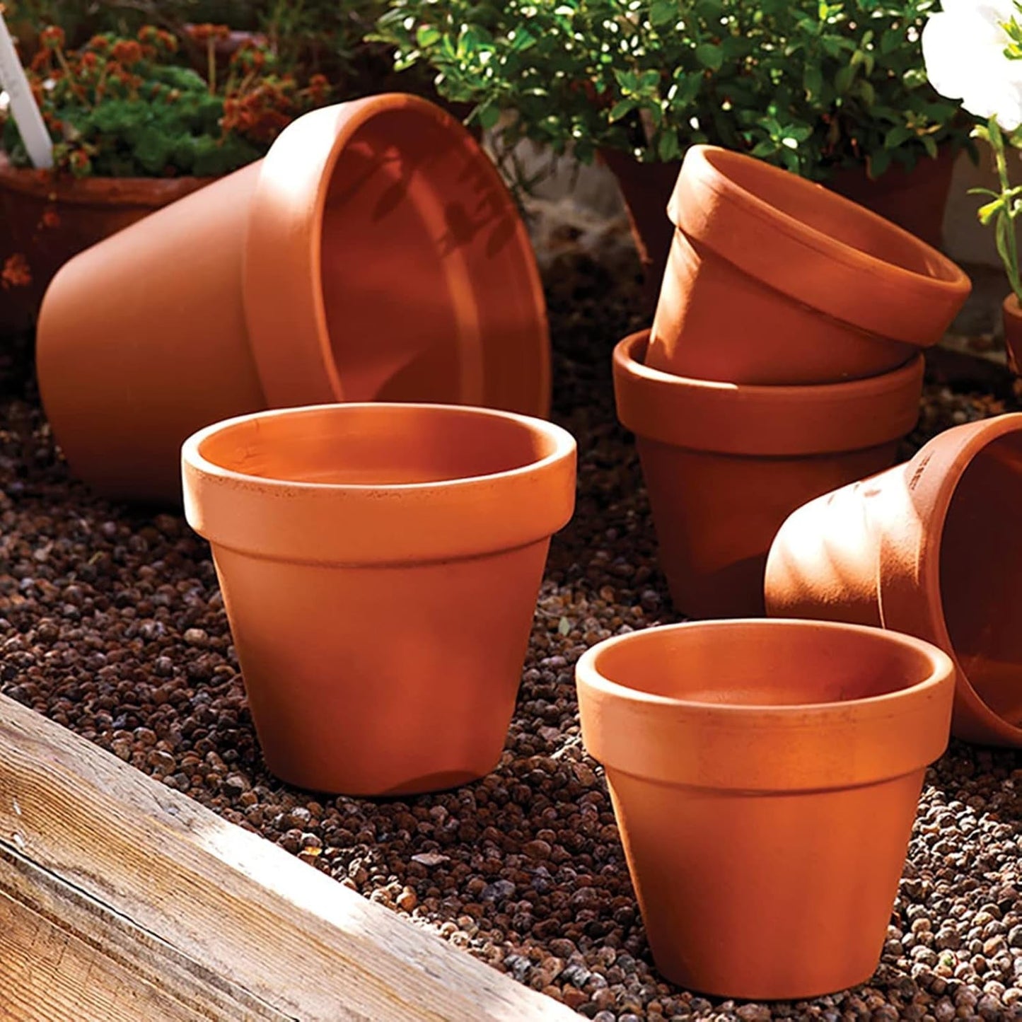 Hollyone Lot de 8 petites jardinières en terre cuite, pots ronds en argile de 8 x 8 cm avec plaque et trou de drainage, petites jardinières avec plateau, pots succulents en terre cuite pour plantes d'intérieur, jardinières en céramique