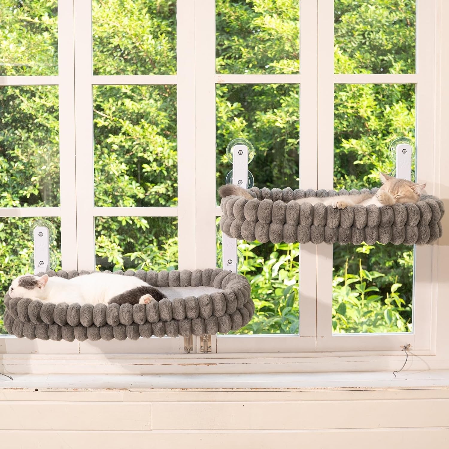 Lits, couvertures et meubles, animaux, chats, lits pour chats, Chats - lits, matelas