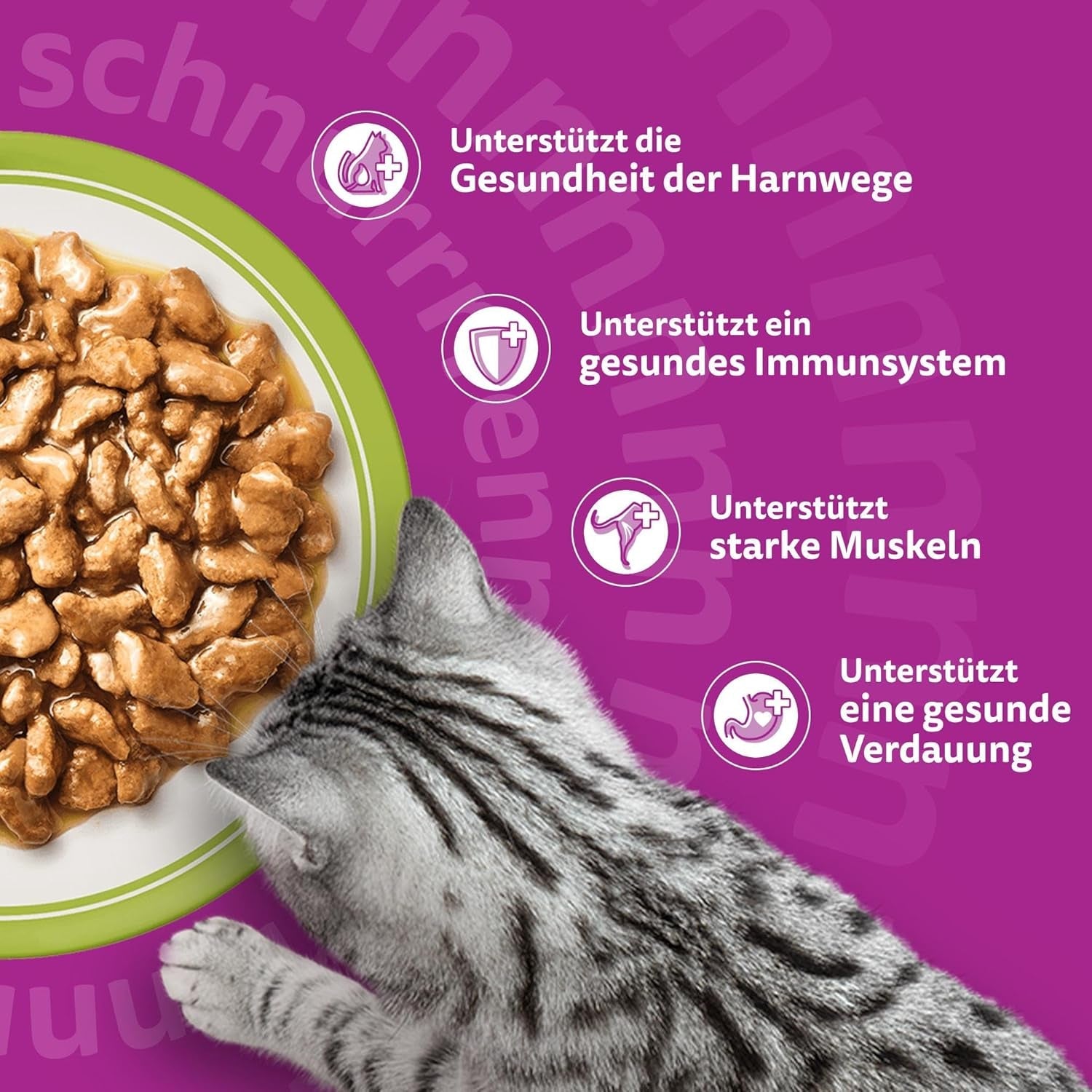 Whiskas Senior 7+ Nourriture humide Sélection mixte en sauce, 48 sachets, 12x85 g (lot de 4) - Nourriture humide de haute qualité pour chats de 7 ans et plus
