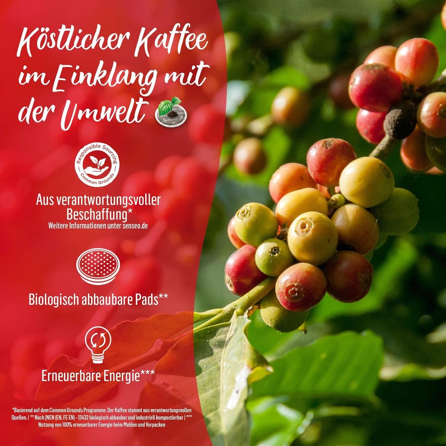 Senseo Milka Kakao Pads, 5 x 8 Getränke, 40 Kaffeepads