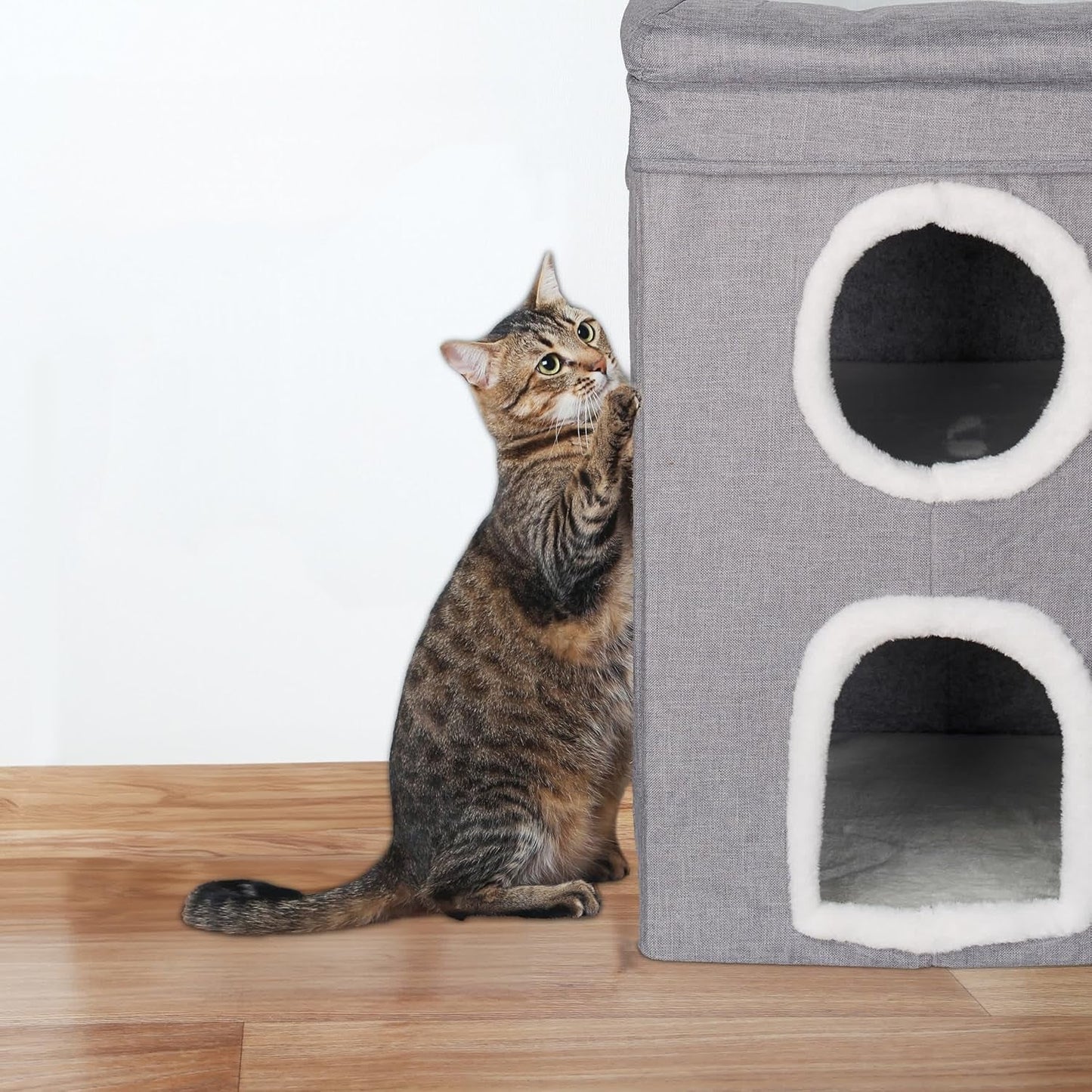 Couvertures et meubles, Animaux, Grottes et maisons, Chats, Lits pour chats, Chats - lits, matelas