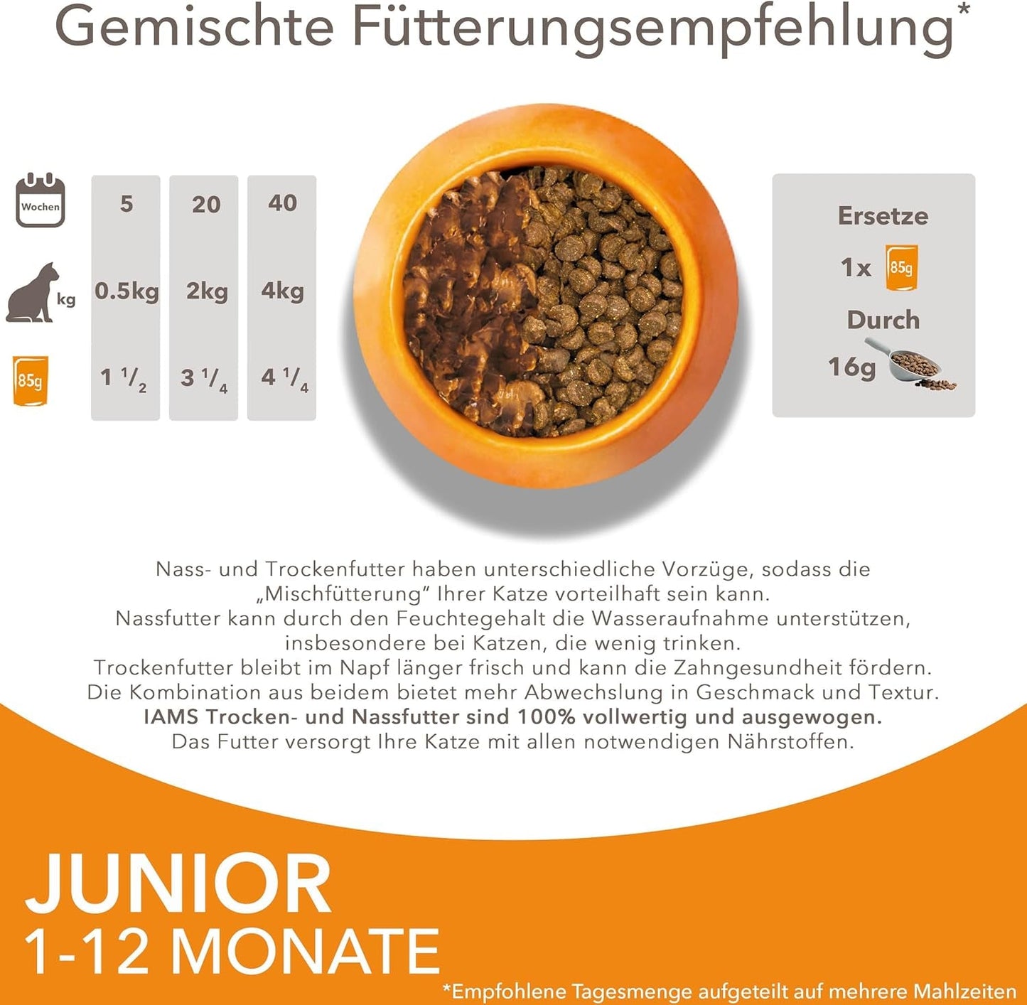 IAMS Delights Kitten Nassfutter - Multipack Katzenfutter mit Hunn in Sauce, Futter de haute qualité pour les enfants de 1 à 12 mois, 12 x 85 g
