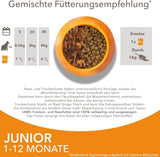 IAMS Delights Kitten Nassfutter - Multipack Katzenfutter mit Hunn in Sauce, Futter de haute qualité pour les enfants de 1 à 12 mois, 12 x 85 g