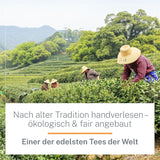 Thé Oolong Bio Ti Guan Yin 100 g - Thé Oolong biologique de haute qualité de Chine - Wu Long (qualité cérémonielle) - Pour les amateurs et connaisseurs de thé - Mycupoftea
