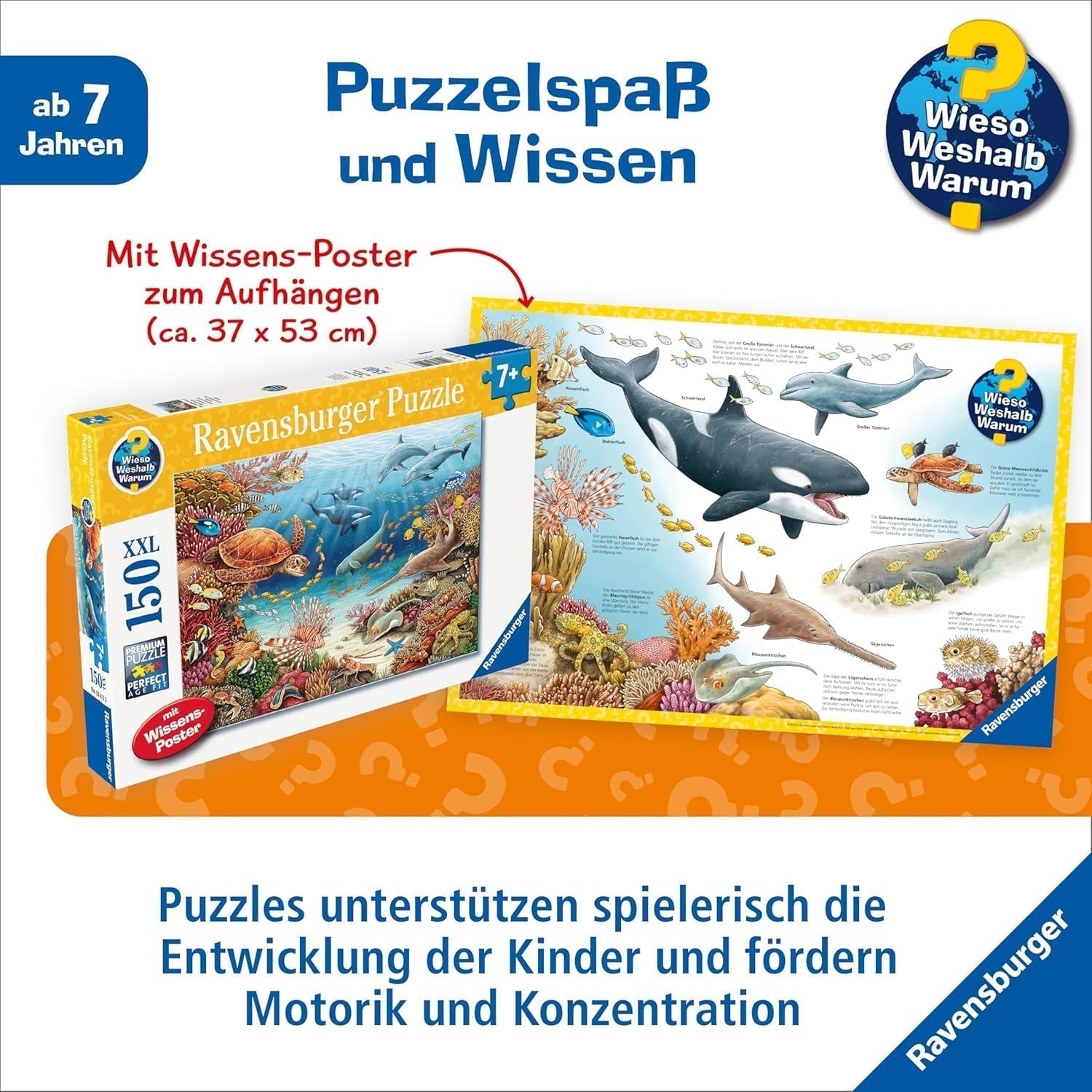 Puzzle pour enfants Ravensburger 13411 - Créatures marines sur la barrière de corail - Pourquoi ? Pourquoi? Pourquoi? Puzzle 150 pièces XXL + poster de connaissances, pour les enfants à partir de 7 ans Puzzle Naty Shop