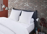 Oreiller Anti-Acariens et Punaises de Lit 60 X 60 cm Confort Moyen Oreiller Multi Protect Doux et Protecteur Lavable en Machine à 40°C Naty Shop Oreillers Standard Titre par Défaut