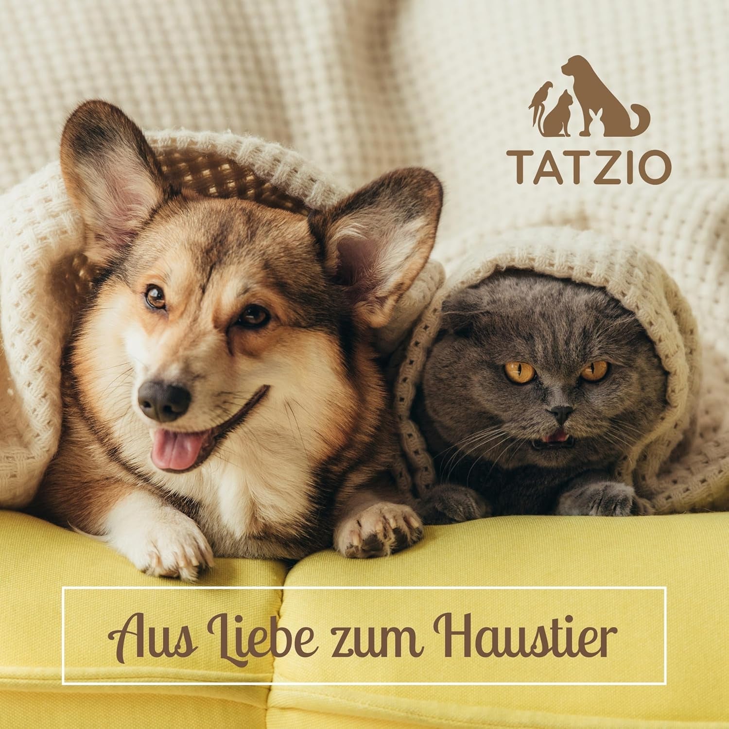 Couvertures et meubles, Animaux, Grottes et maisons, Chats, Lits pour chats, Chats - lits, matelas