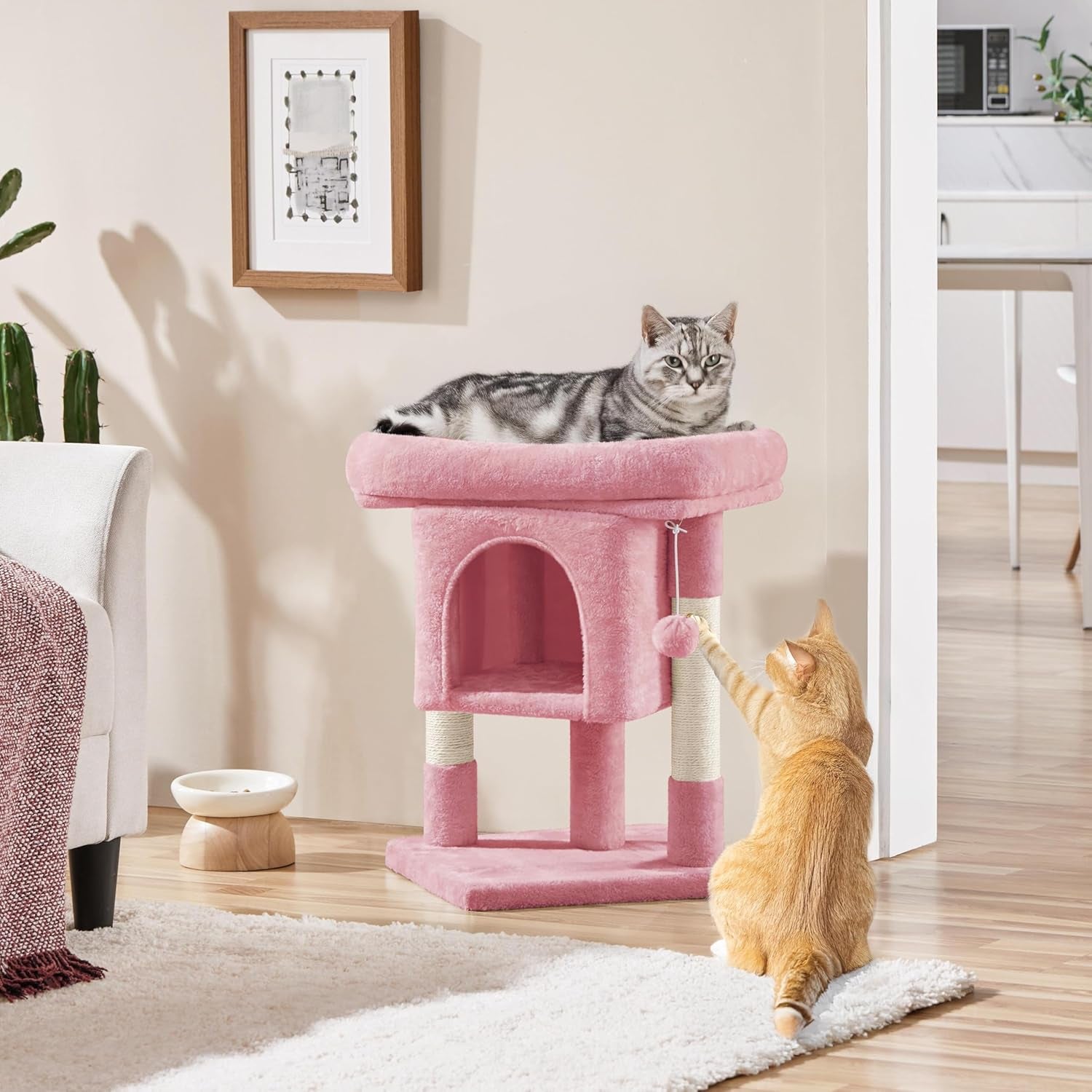 Couvertures et meubles, Animaux, Chats, Lits pour chats, Griffoir, Chats - lits, matelas