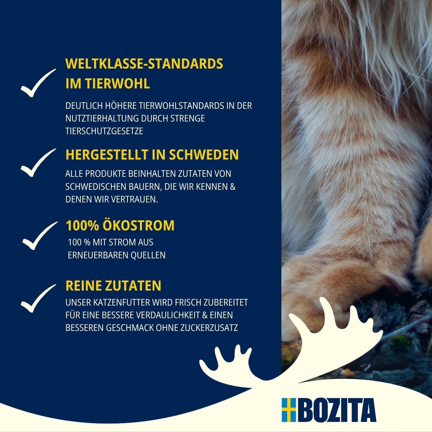 Bozita Mousse MSC Saumon - 12 x 85g nourriture humide pour chat à la texture fine de mousse et de saumon - recette sans céréales, sans sucres ni colorants ajoutés - avec postbiotiques pour soutenir la flore intestinale