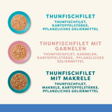 Applaws Nourriture humide 100 % naturelle pour chat adulte, assortiment de poissons en sauce, paquet multiple de 12 boîtes x 70 g