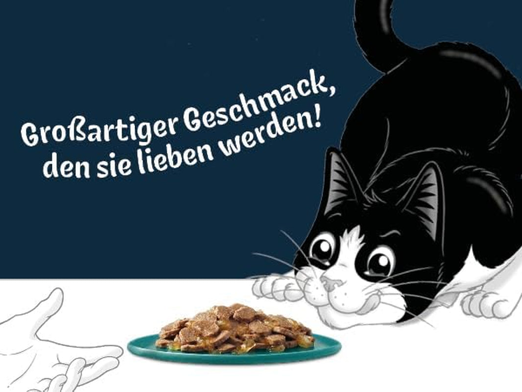 Felix Delicious Nourriture humide pour chat tranchée en gelée, variété de saveurs d'eau, paquet de 6 (6 x 10 sachets de 80 g chacun)
