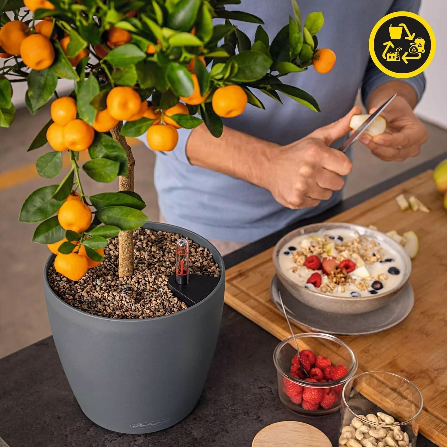 Jardinière LECHUZA Classico Couleur ECO 35 Gris Foncé | Jardinière avec système d'arrosage et indicateur de niveau d'eau | Fabriqué à partir de plastique 100 % recyclé | Finition mate | Ø 34,5 x 32,5 cm | 18935