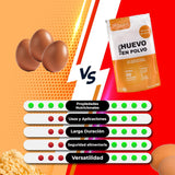 Pulvérisation au Freilandeiern (1kg) | Pulvérisateur pasteurisé Vollei | Ohne Zusatztoffe | Sans gluten et sans lactose | Emballage sous vide dans un magasin Zip