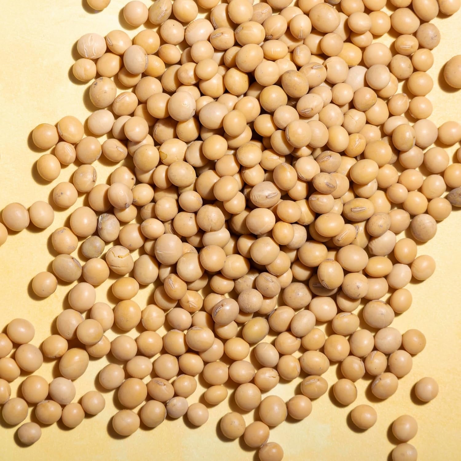 Soja Wholefood Earth - sans OGM - naturel - végétalien - sans produits laitiers - sans sucre ajouté 1 kg