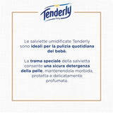 Disney Lingettes pour bébé, lingettes douces, idéales pour le nettoyage quotidien de bébé, personnages Disney, paquet de 12, fabriquées en Italie, testées dermatologiquement