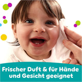Lingettes humides Pampers Fresh Clean, 12 paquets de 52 lingettes, 624 lingettes au total, parfum léger, convient également aux mains et au visage