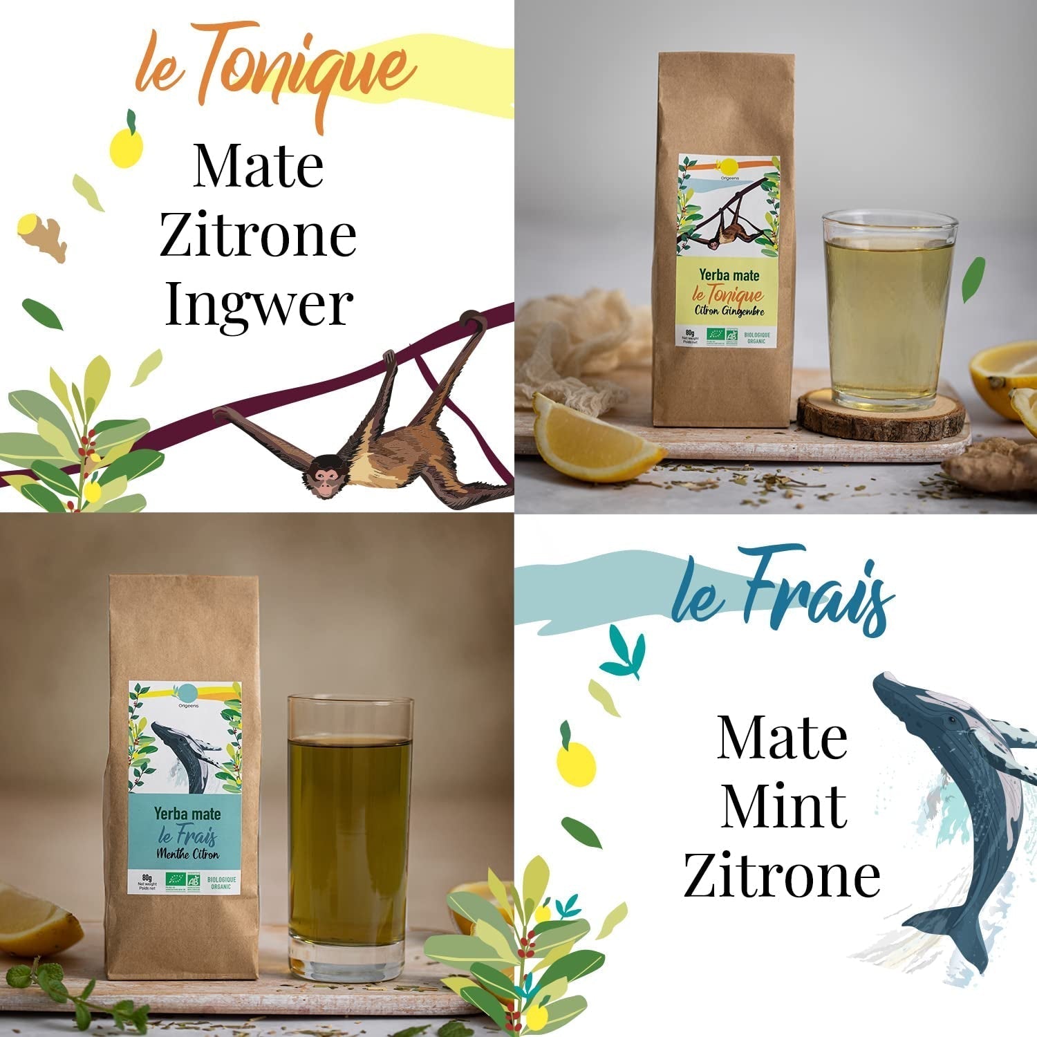 ORIGEENS COFFRET THÉ BIO MATE X4 I Yerba Mate Bio 4X80G I Coffret thé Yerba Mate, idée cadeau