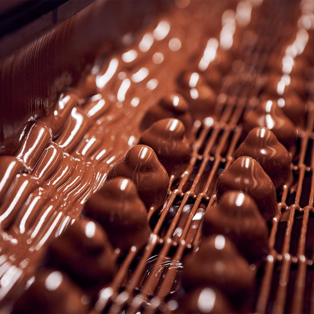 Chocolats fourrés au chocolat au lait et noisettes, boîte 200g