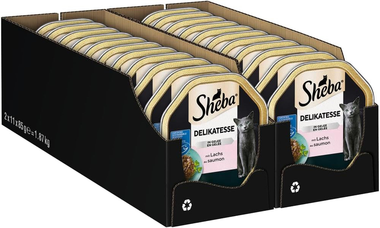 Sheba Nourriture humide pour chat, Délicatesse en gelée de saumon, 2 x 11 x 85 g
