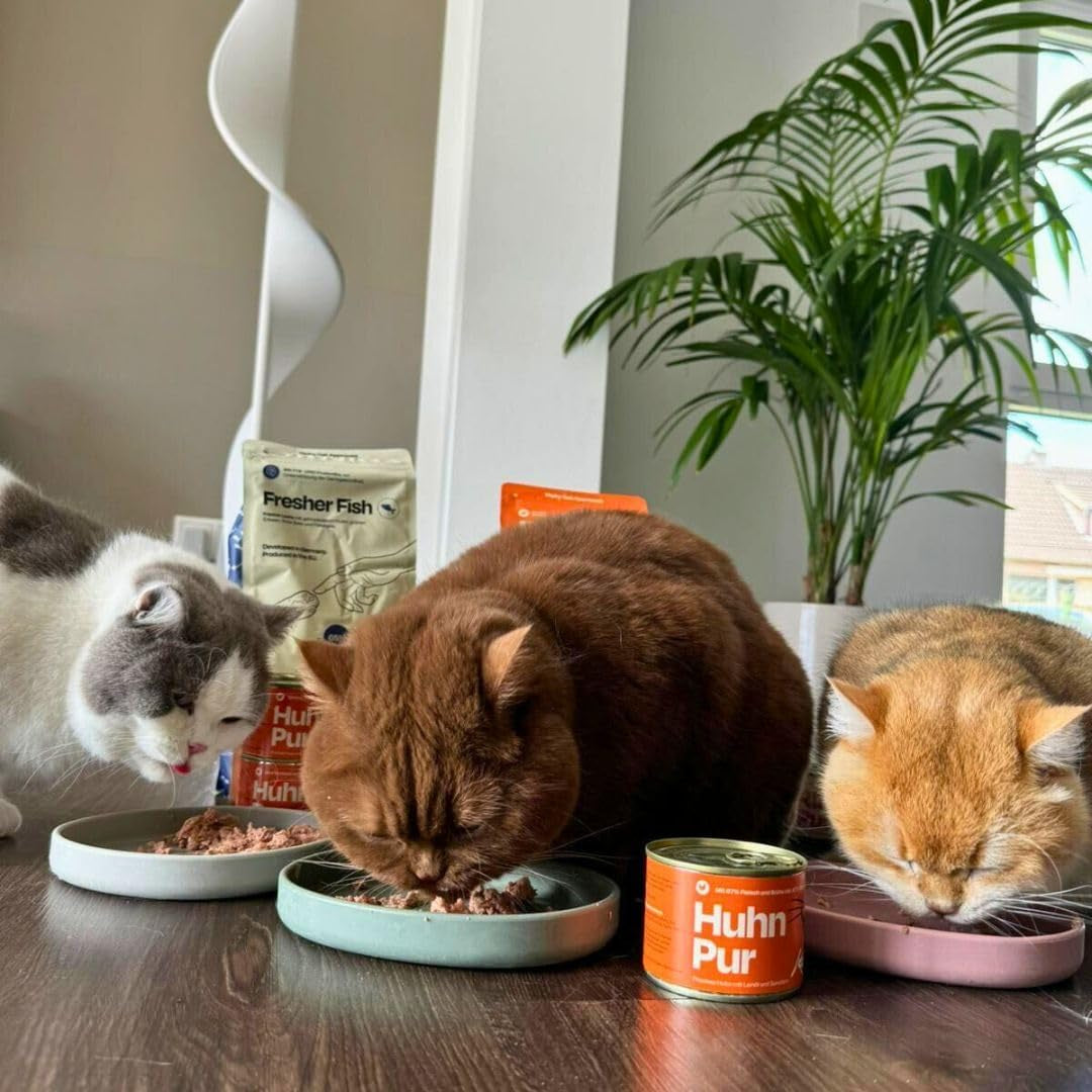 The Better Cat - Nourriture humide sans céréales à très haute teneur en viande - Nourriture pour chats de qualité supérieure, sans céréales et sans sucre (200g, Poulet)