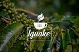 Café Iguaque 1000gr | Premium Kaffee Ganze Bohnen 100% Arabica de Colombie | Familienbetrieb - Single Origin Kaffeebohnen - Nachhaltige eigene Plantage im Hochland - Kräftiges Aroma