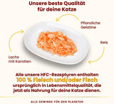 Almo Nature HFC Jelly - Nourriture humide pour chat adulte - Saumon et Carottes - Qualité humaine, Sans gluten - 6 x 70g