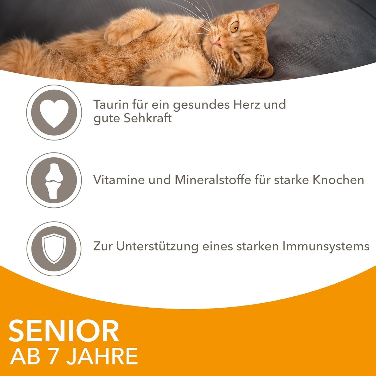 IAMS Delights Nourriture humide pour chat au poulet en sauce pour chats seniors de 7 ans et plus - Format essai, sachet individuel, 1 x 85 g